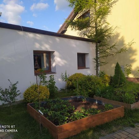 Apartament Gniezno - Mnichowo Luaran gambar
